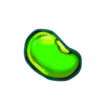 Bean